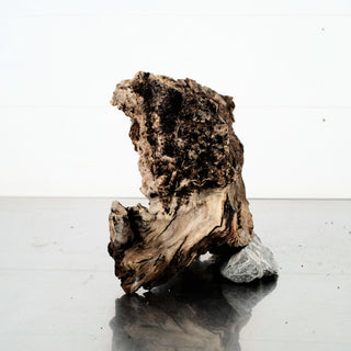Manzanita Driftwood 12"