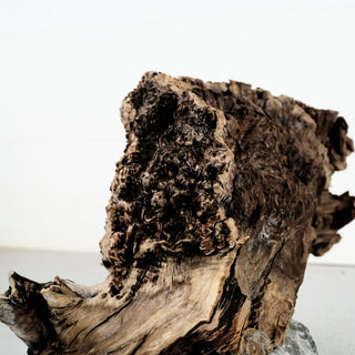 Manzanita Driftwood 12"