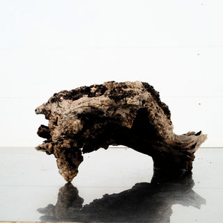 Manzanita Driftwood 12"