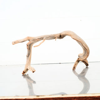 Manzanita Driftwood