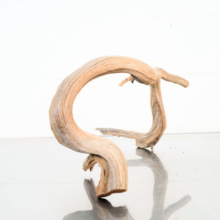 Manzanita Driftwood