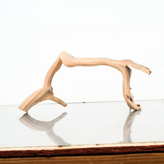 Manzanita Driftwood