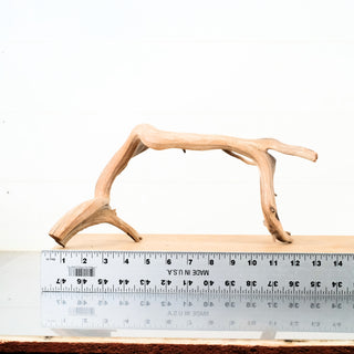 Manzanita Driftwood