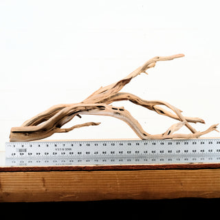 Manzanita Driftwood (Set of 2) 25-26"