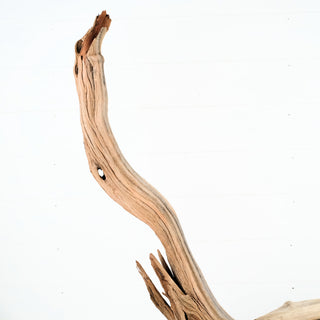 Manzanita Driftwood 44.5"
