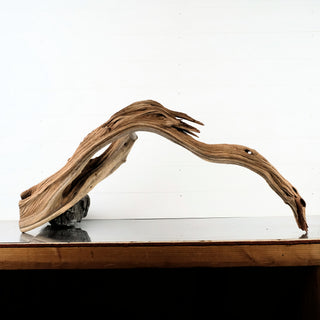 Manzanita Driftwood 44.5"