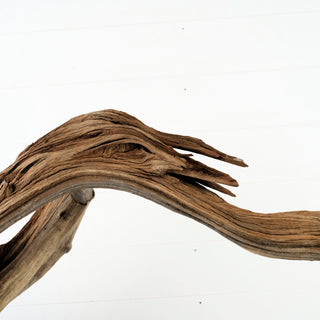 Manzanita Driftwood 44.5"