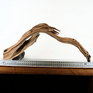 Manzanita Driftwood 44.5"