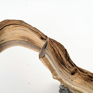Manzanita Driftwood 44.5"