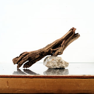 Manzanita Driftwood 18"