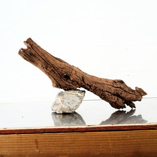 Manzanita Driftwood 18"