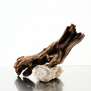 Manzanita Driftwood 18"