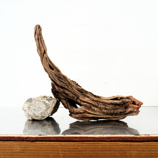 Manzanita Driftwood 17"