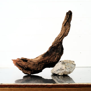 Manzanita Driftwood 17"