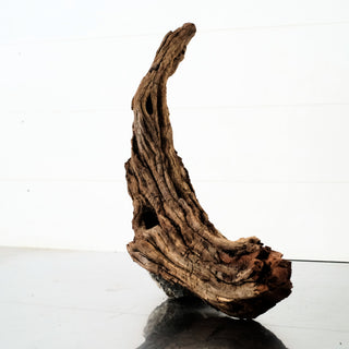 Manzanita Driftwood 17"