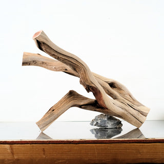 Manzanita Driftwood 23"