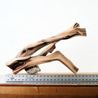 Manzanita Driftwood 23"