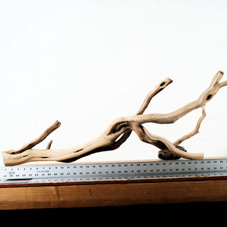 Manzanita Driftwood 36"