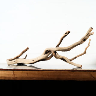 Manzanita Driftwood 36"