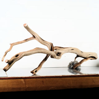Manzanita Driftwood 36"
