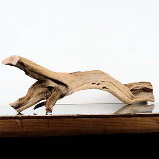 Manzanita Driftwood 43"