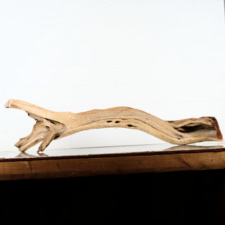 Manzanita Driftwood 43"