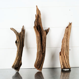 Manzanita Driftwood (Set of 3) 10-13"