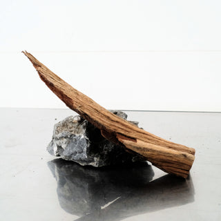 Manzanita Driftwood (Set of 3) 10-13"