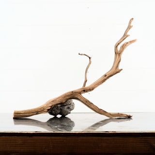 Manzanita Driftwood aquarium driftwood with a distinctive branching natural form