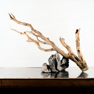 Manzanita Driftwood individually photographed aquarium driftwood with natural stone