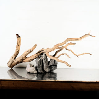 Manzanita Driftwood aquarium driftwood displayed with dark rocks on a reflective surface