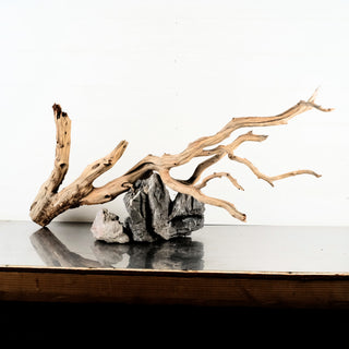 Manzanita Driftwood individually photographed aquarium driftwood arranged with natural rocks