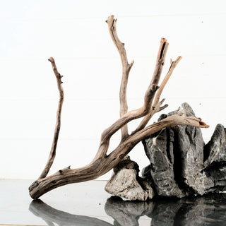 Manzanita Driftwood aquarium driftwood with natural rocks for an aquarium terrarium
