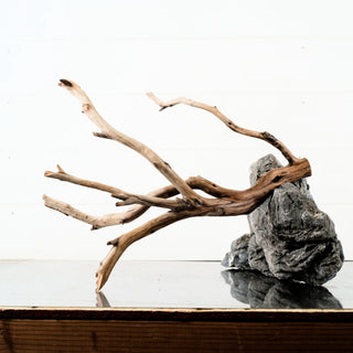 Manzanita Driftwood with natural rock for an aquarium display