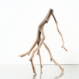 Manzanita Driftwood natural branching aquarium driftwood
