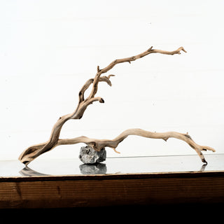 Manzanita Driftwood individually photographed as branching aquarium driftwood resting on rocks