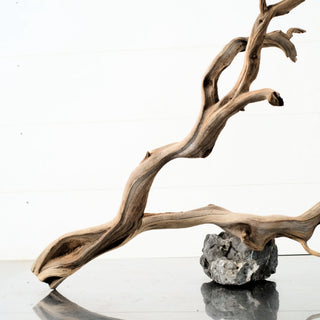 Manzanita Driftwood aquarium driftwood branch supported by a rock