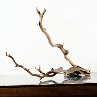 Manzanita Driftwood individually photographed aquarium driftwood with branching natural form