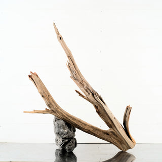 Manzanita Driftwood natural branching aquarium driftwood for aquarium terrarium decor