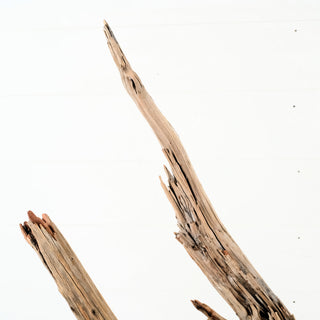 Manzanita Driftwood aquarium driftwood branch with natural texture and weathered details