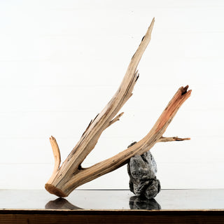 Manzanita Driftwood aquarium driftwood branch displayed with a natural rock base