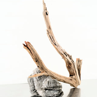 Manzanita Driftwood aquarium driftwood with branching form and natural rock for aquarium terrarium