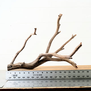 Manzanita Driftwood aquarium driftwood branch with multiple curved limbs