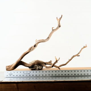 Manzanita Driftwood branching aquarium driftwood piece on white background