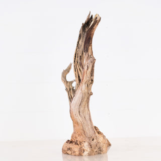 manzanita driftwood