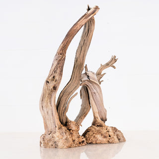 manzanita driftwood