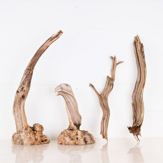 manzanita driftwood