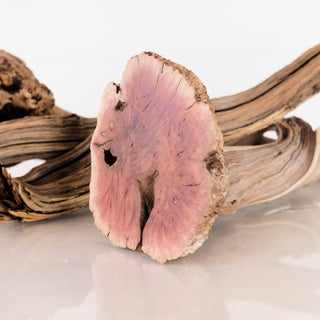 manzanita driftwood