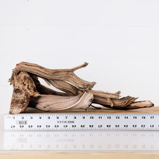 manzanita driftwood