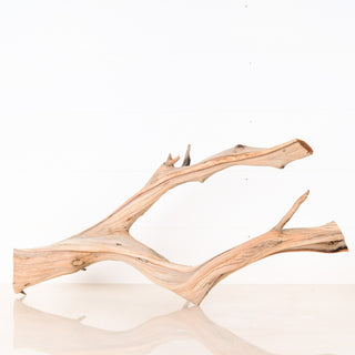 manzanita driftwood